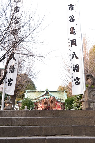 f0124830_16515416.jpg