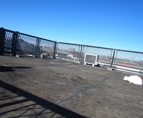 f0002833_15484569.jpg