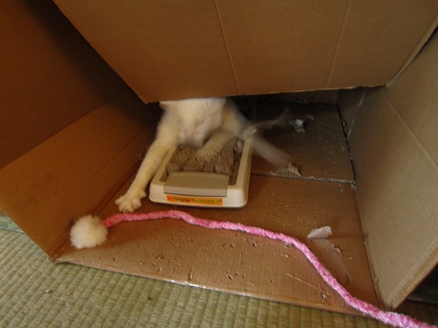 f0002833_15504943.jpg