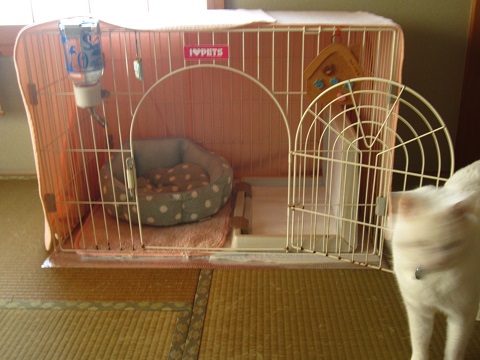 f0002833_1644818.jpg