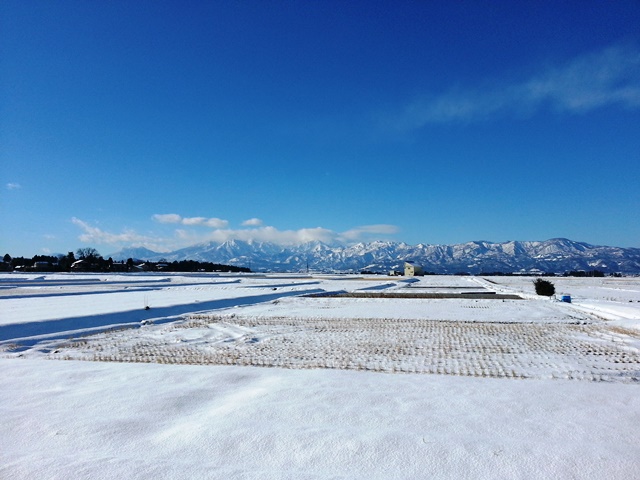 f0131535_14462352.jpg