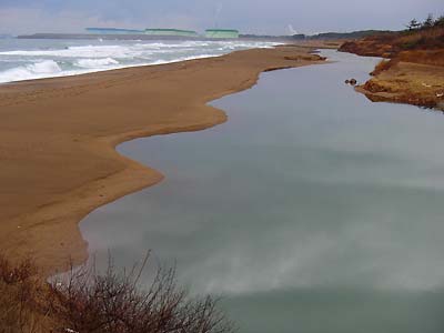 c0019338_2222512.jpg