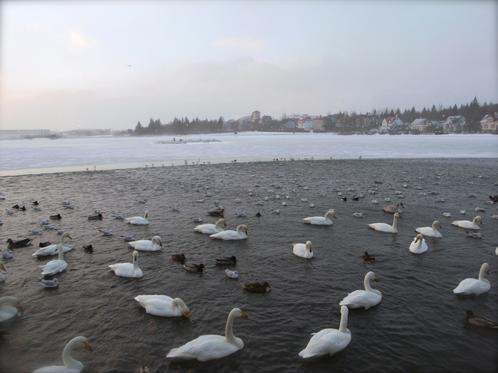 b0309645_124210.jpg