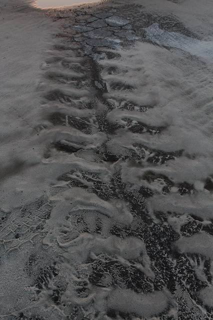 f0288049_1156213.jpg