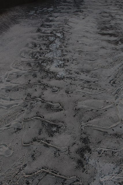 f0288049_11562477.jpg