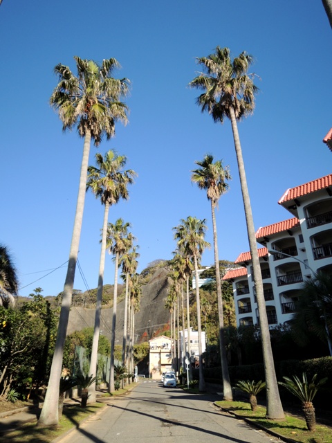 b0173754_11102150.jpg