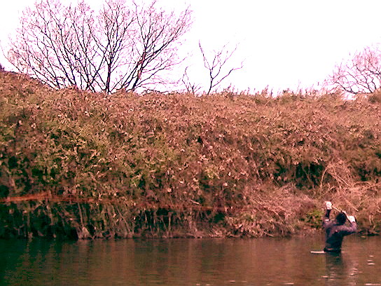 f0084561_1352679.jpg
