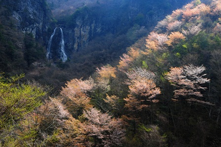 c0303868_10484582.jpg