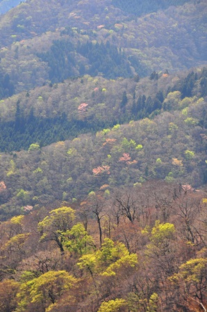 c0303868_10522166.jpg