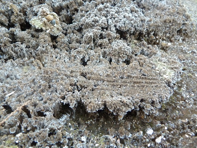 e0278968_2340289.jpg