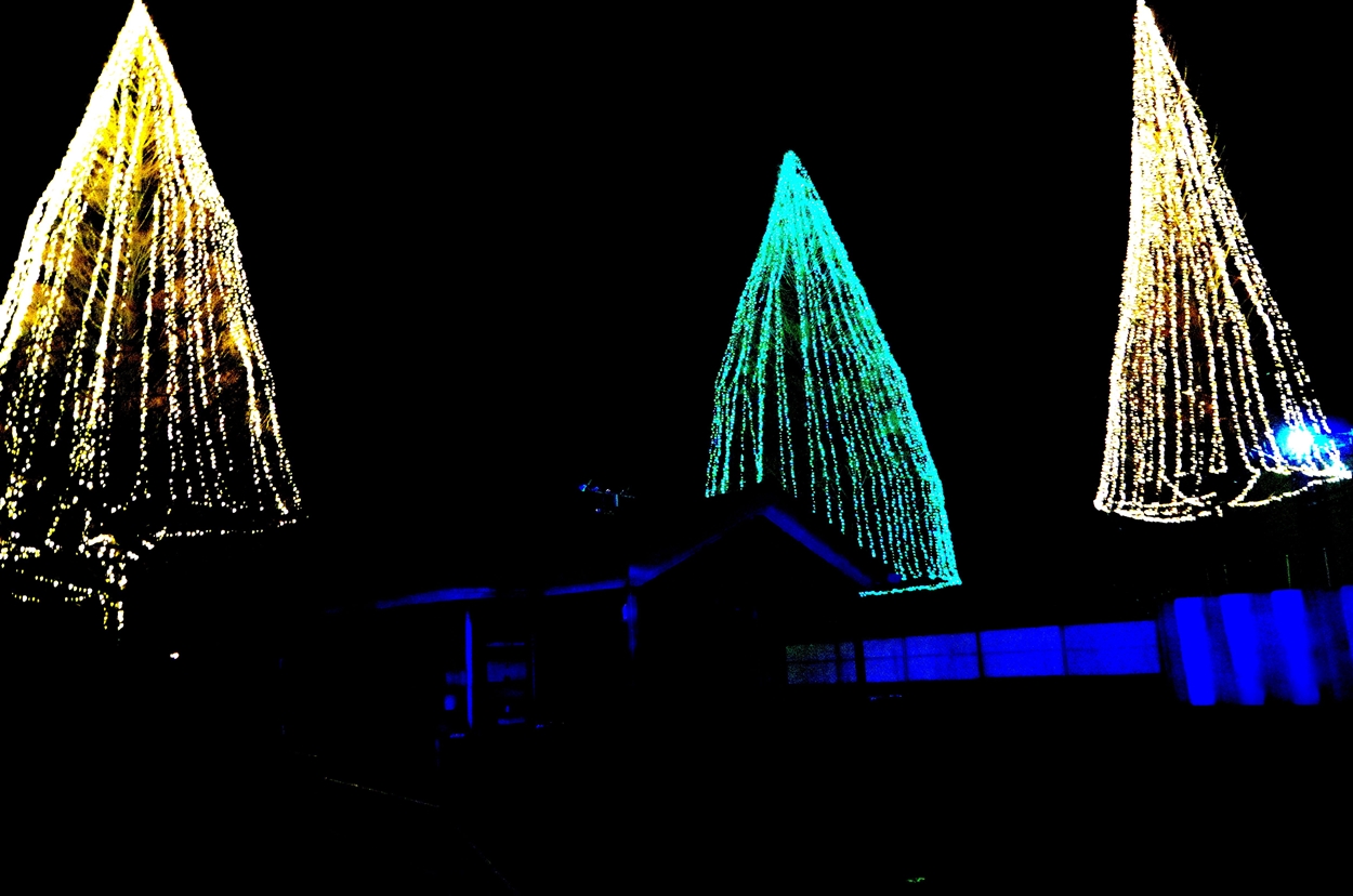d0031171_10275927.jpg