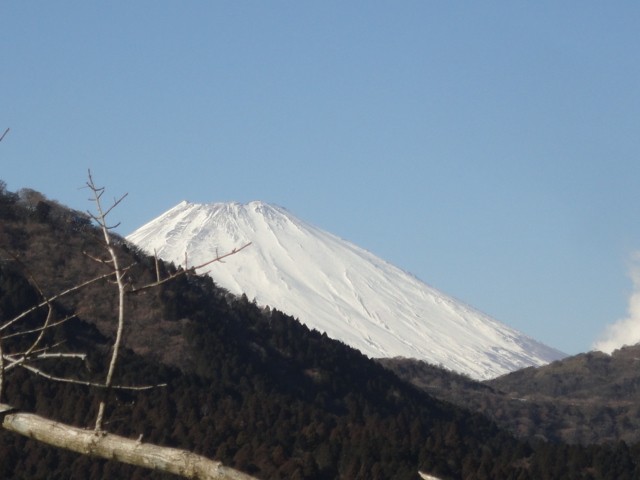 d0109373_1905759.jpg