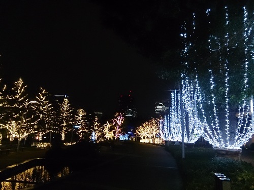 e0212073_175168.jpg