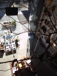 d0124878_1134486.jpg