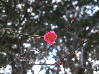 f0039281_12182135.jpg
