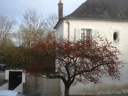 a0247585_6345850.jpg