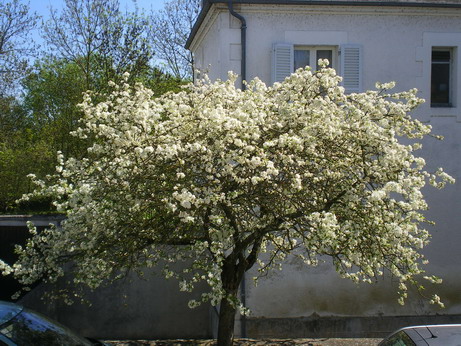 a0247585_6395188.jpg