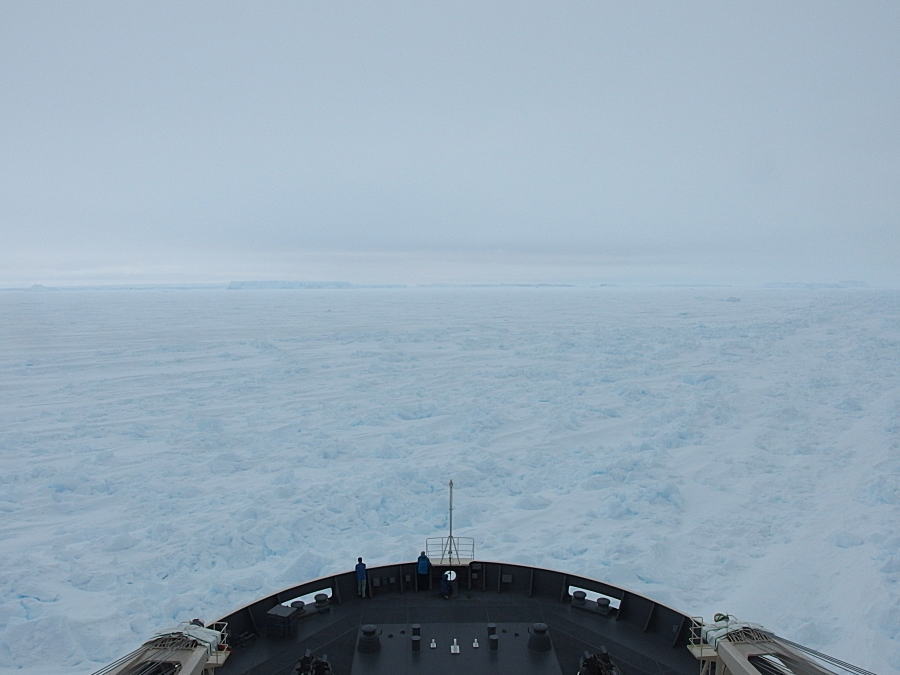 c0193901_18233534.jpg