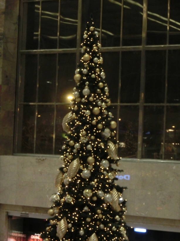 c0193304_15352333.jpg