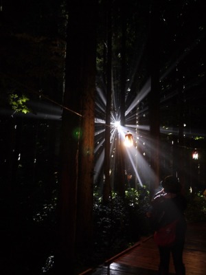 f0274713_2147671.jpg