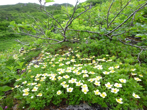 d0170615_16411240.jpg