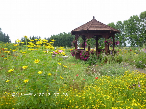 d0170615_16584429.jpg