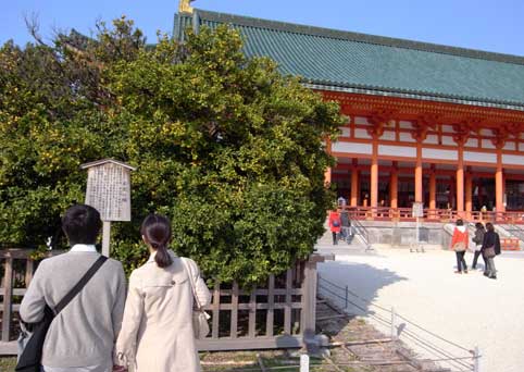 c0098228_13171774.jpg