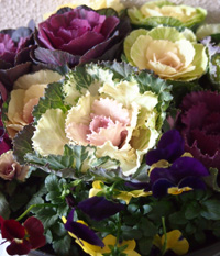 c0188928_1251691.jpg