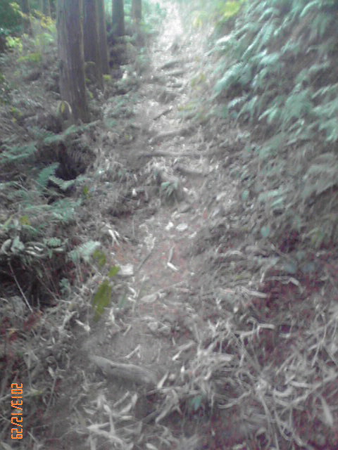 b0222530_21182685.jpg