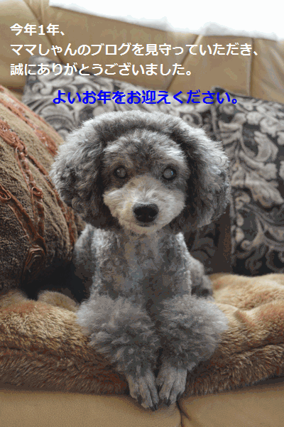 c0136736_19273089.gif