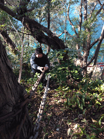 e0203037_23502752.gif