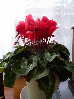 c0191138_23301190.jpg