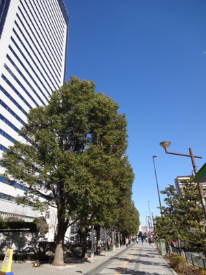 f0141840_23583812.jpg