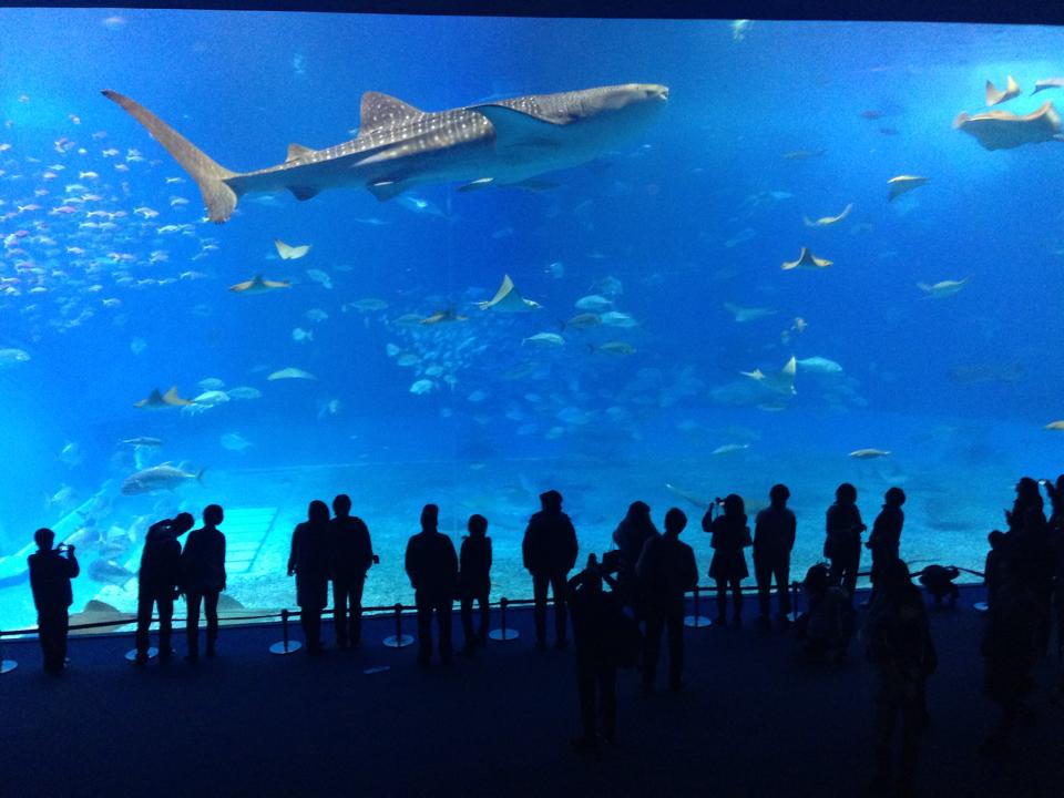 d0205250_1895715.jpg