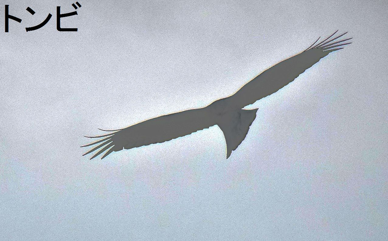 c0108460_16271931.jpg