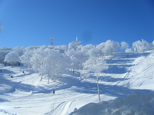 f0002265_23363921.jpg