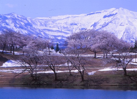 c0303868_104255.jpg