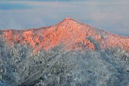 c0303868_11371191.jpg