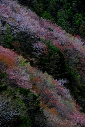 c0303868_1344546.jpg