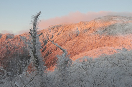 c0303868_15481641.jpg