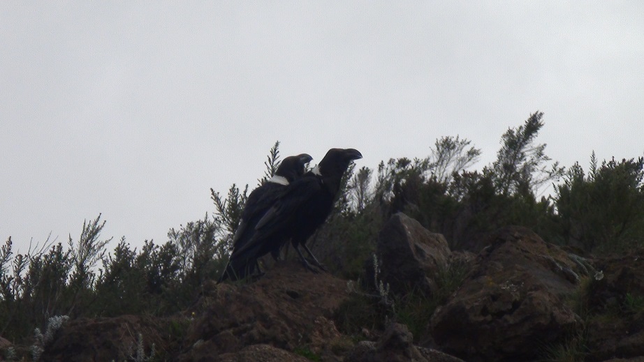f0064573_0375189.jpg