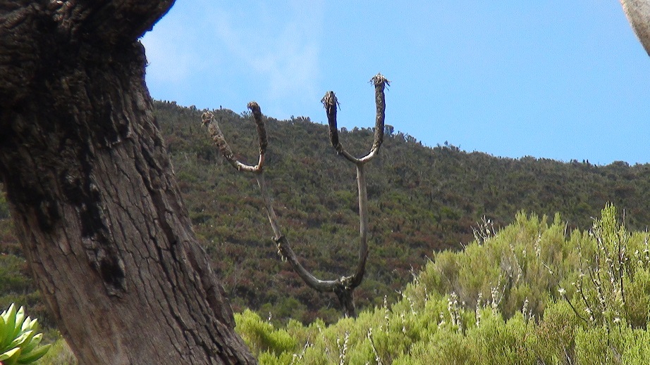 f0064573_0393275.jpg