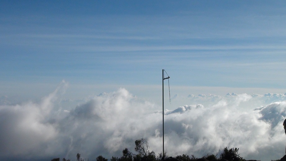 f0064573_041337.jpg