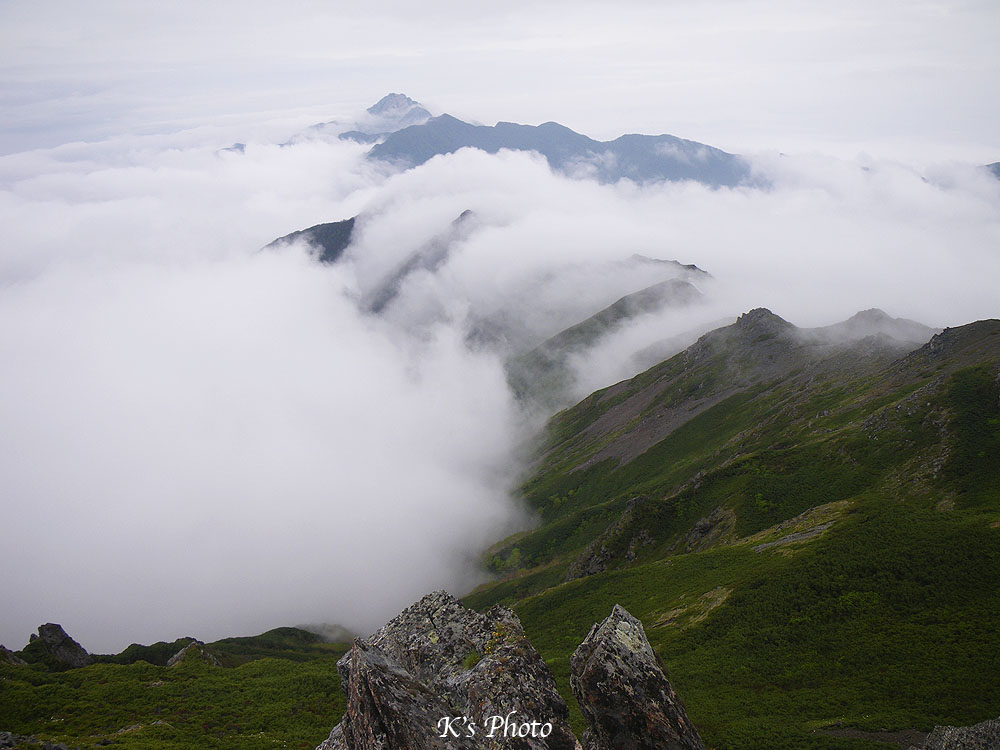 d0054076_9573440.jpg