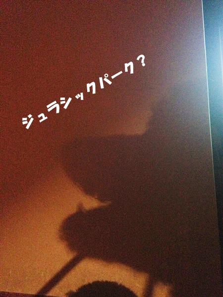 c0283778_17184673.jpg