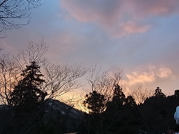 e0155085_17545861.jpg