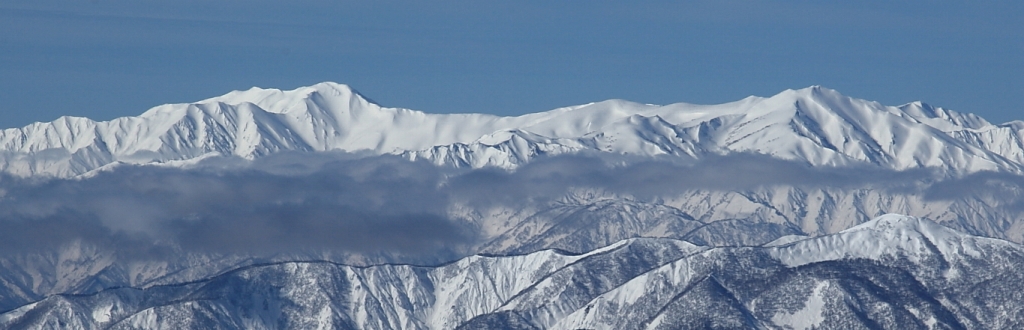 b0050305_17324251.jpg