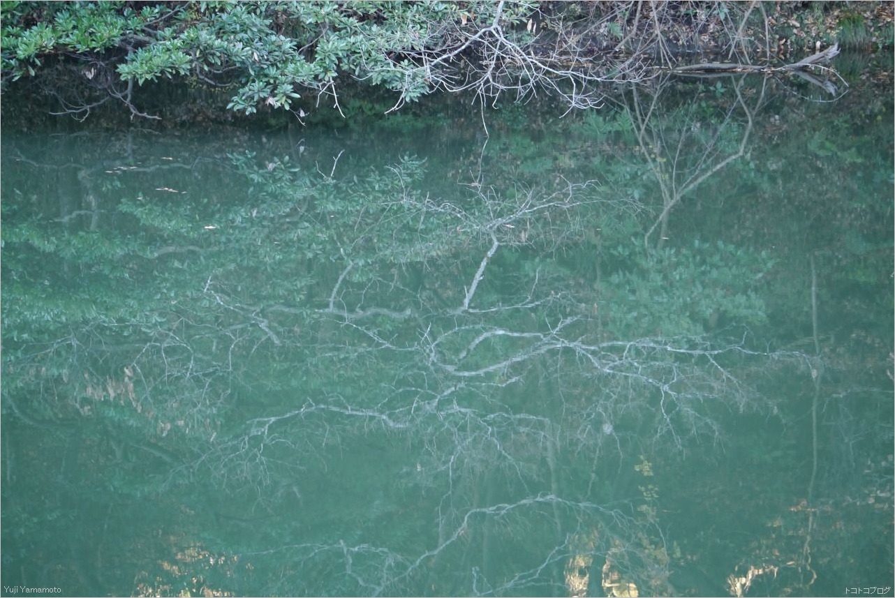 c0202706_18154796.jpg