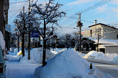 a0139912_822421.jpg