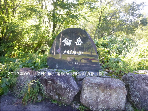 d0170615_1742524.jpg